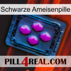 Black Ant Pill 04